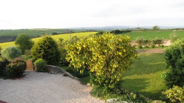 Worswell Barton B&B view from rooms over garden x.jpg